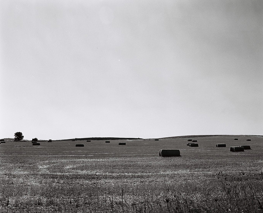 Vue d'un sous bois d'une forêt de hêtres en Auvergne