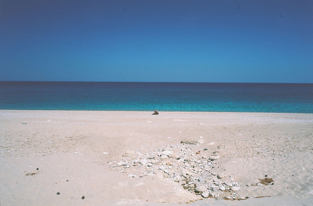 Vue d'un sous bois d'une forêt de hêtres en Auvergne