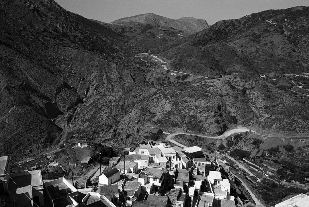 Vue d'un sous bois d'une forêt de hêtres en Auvergne